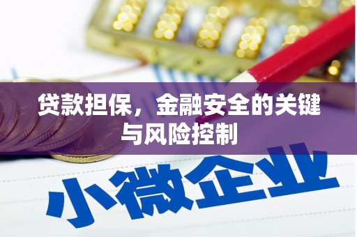 朔城贷款担保，金融安全的关键与风险控制