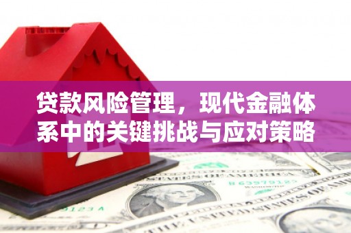 朔城贷款风险管理，现代金融体系中的关键挑战与应对策略