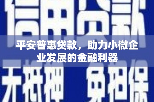 朔城平安普惠贷款，助力小微企业发展的金融利器