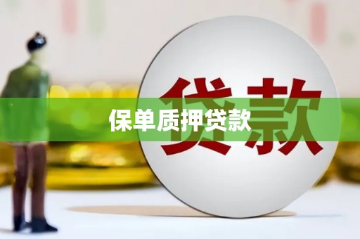 朔城保单质押贷款