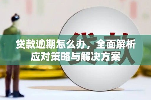 朔城贷款逾期怎么办，全面解析应对策略与解决方案