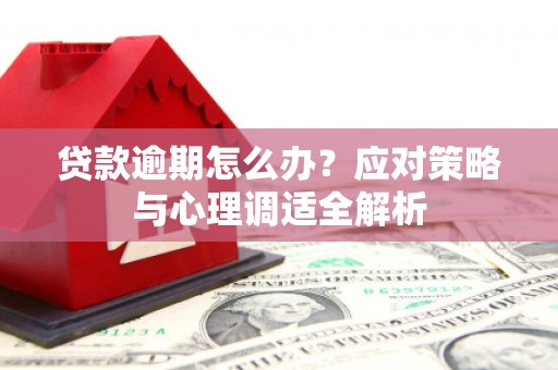 朔城贷款逾期怎么办？应对策略与心理调适全解析