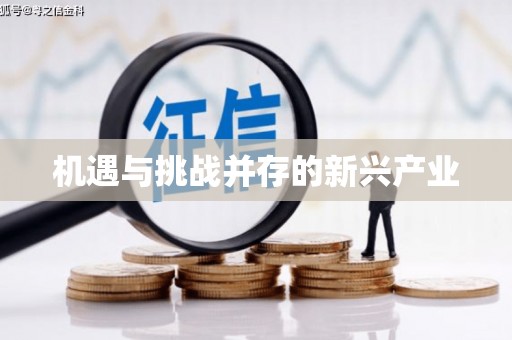 朔城机遇与挑战并存的新兴产业
