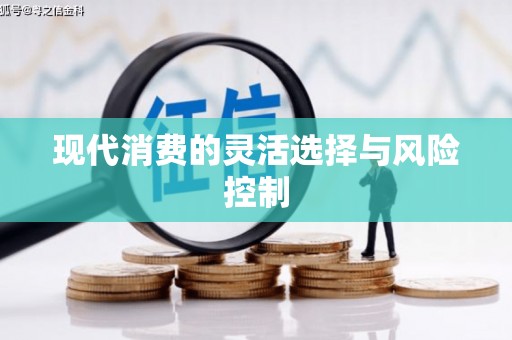 朔城现代消费的灵活选择与风险控制