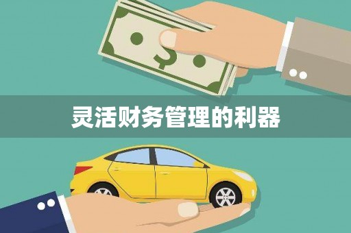 朔城灵活财务管理的利器