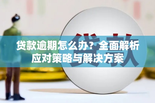 朔城贷款逾期怎么办？全面解析应对策略与解决方案