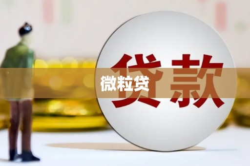 朔城微粒贷