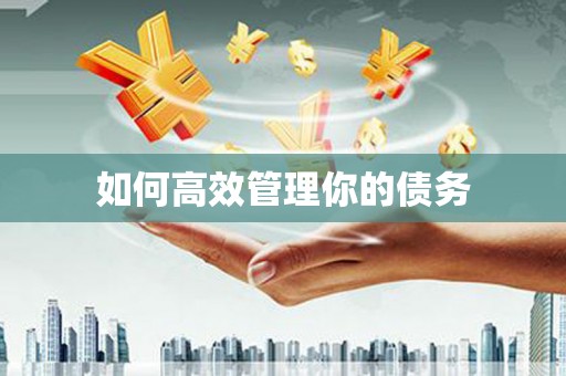 朔城如何高效管理你的债务