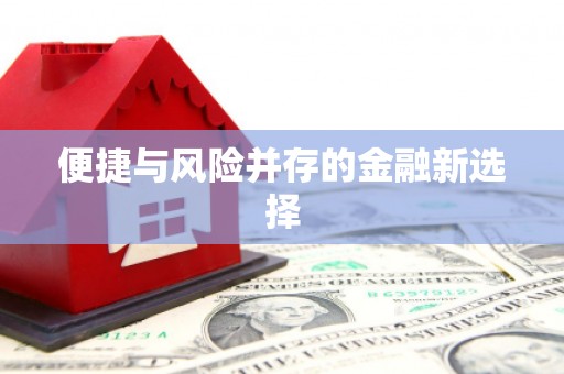 朔城便捷与风险并存的金融新选择