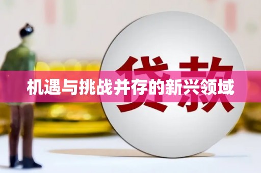 朔城机遇与挑战并存的新兴领域