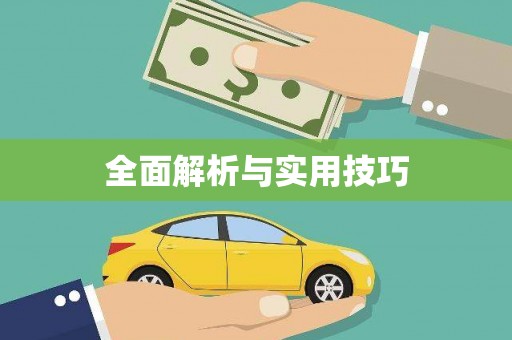 朔城全面解析与实用技巧