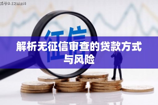 朔城解析无征信审查的贷款方式与风险