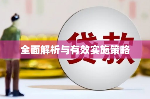 朔城全面解析与有效实施策略