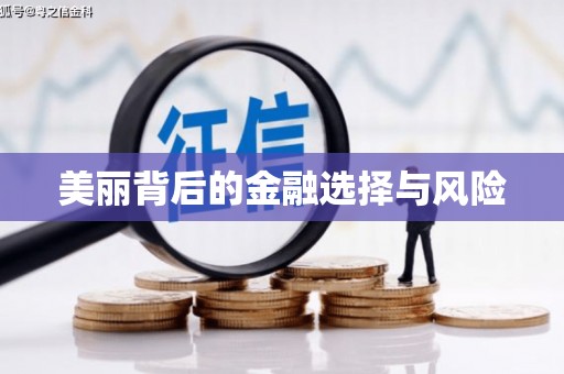 朔城美丽背后的金融选择与风险