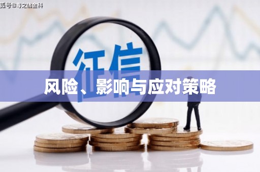 朔城风险、影响与应对策略