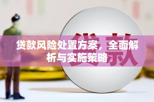 朔城贷款风险处置方案，全面解析与实施策略