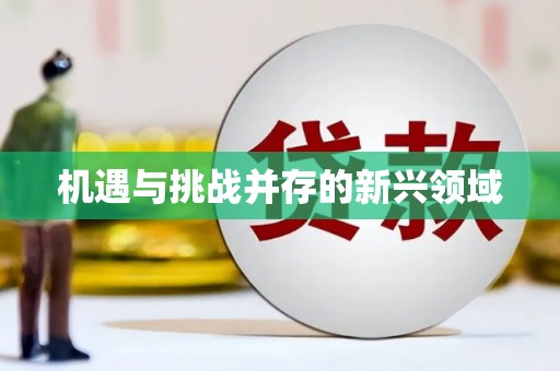 朔城机遇与挑战并存的新兴领域