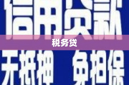 朔城税务贷