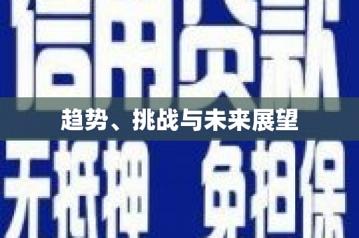 朔城趋势、挑战与未来展望