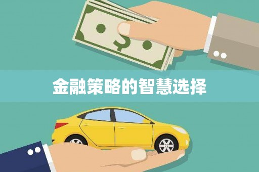 朔城金融策略的智慧选择