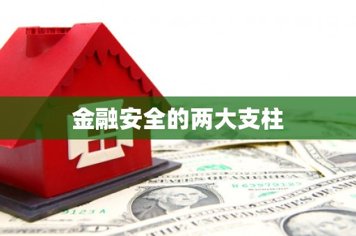 朔城金融安全的两大支柱