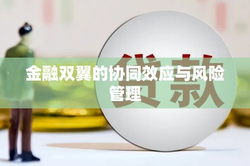朔城金融双翼的协同效应与风险管理