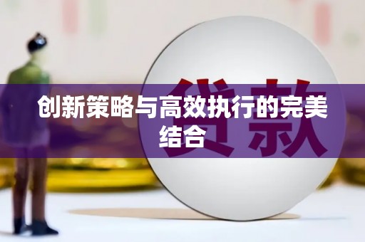 朔城创新策略与高效执行的完美结合