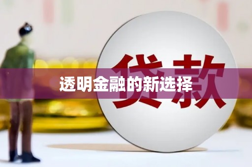朔城透明金融的新选择