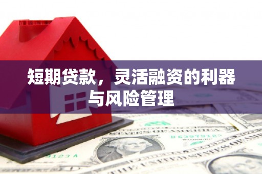 朔城短期贷款，灵活融资的利器与风险管理