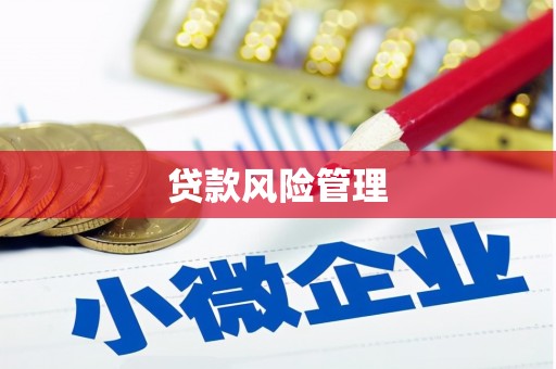 朔城贷款风险管理