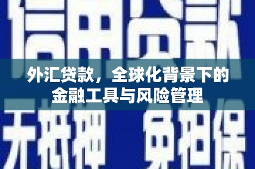 朔城外汇贷款，全球化背景下的金融工具与风险管理