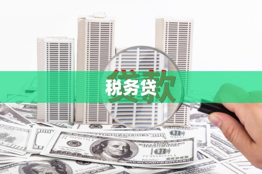 朔城税务贷