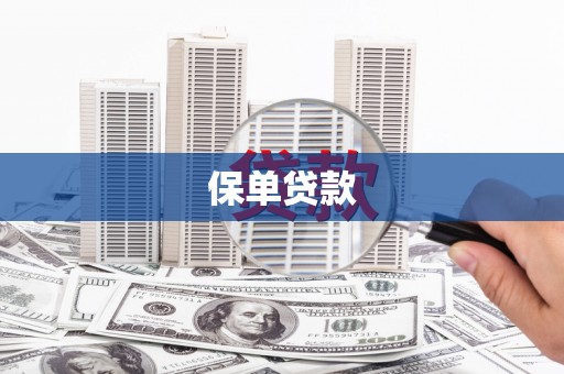 朔城保单贷款